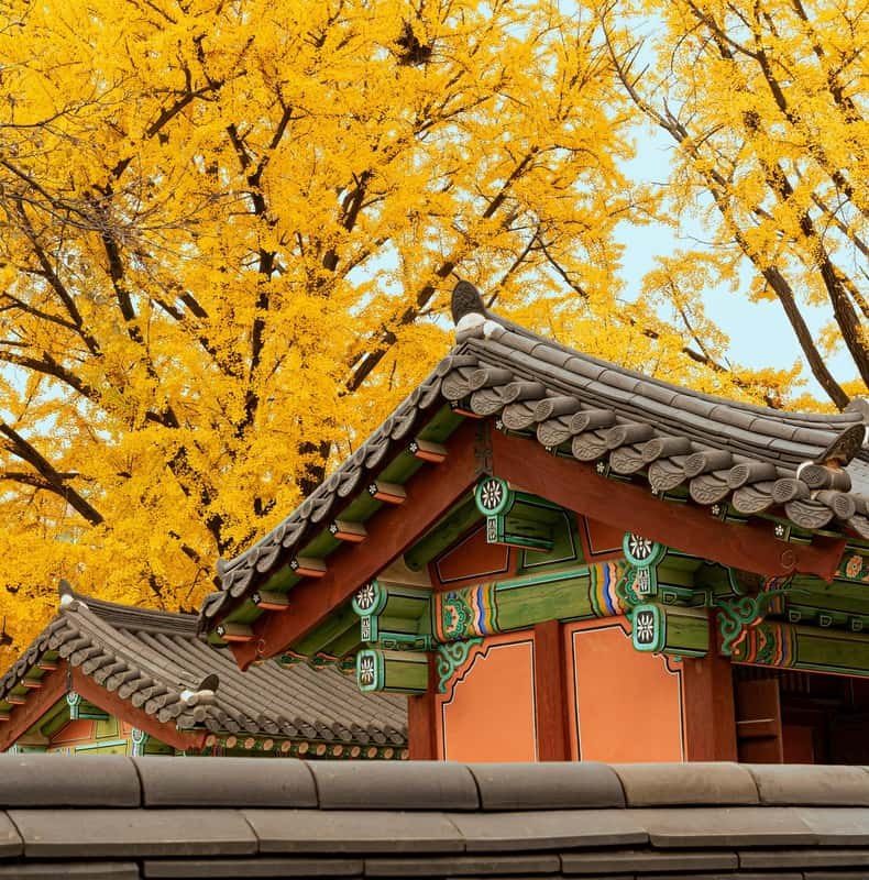 Seoul Private Layover Tour from the Airport with a Local